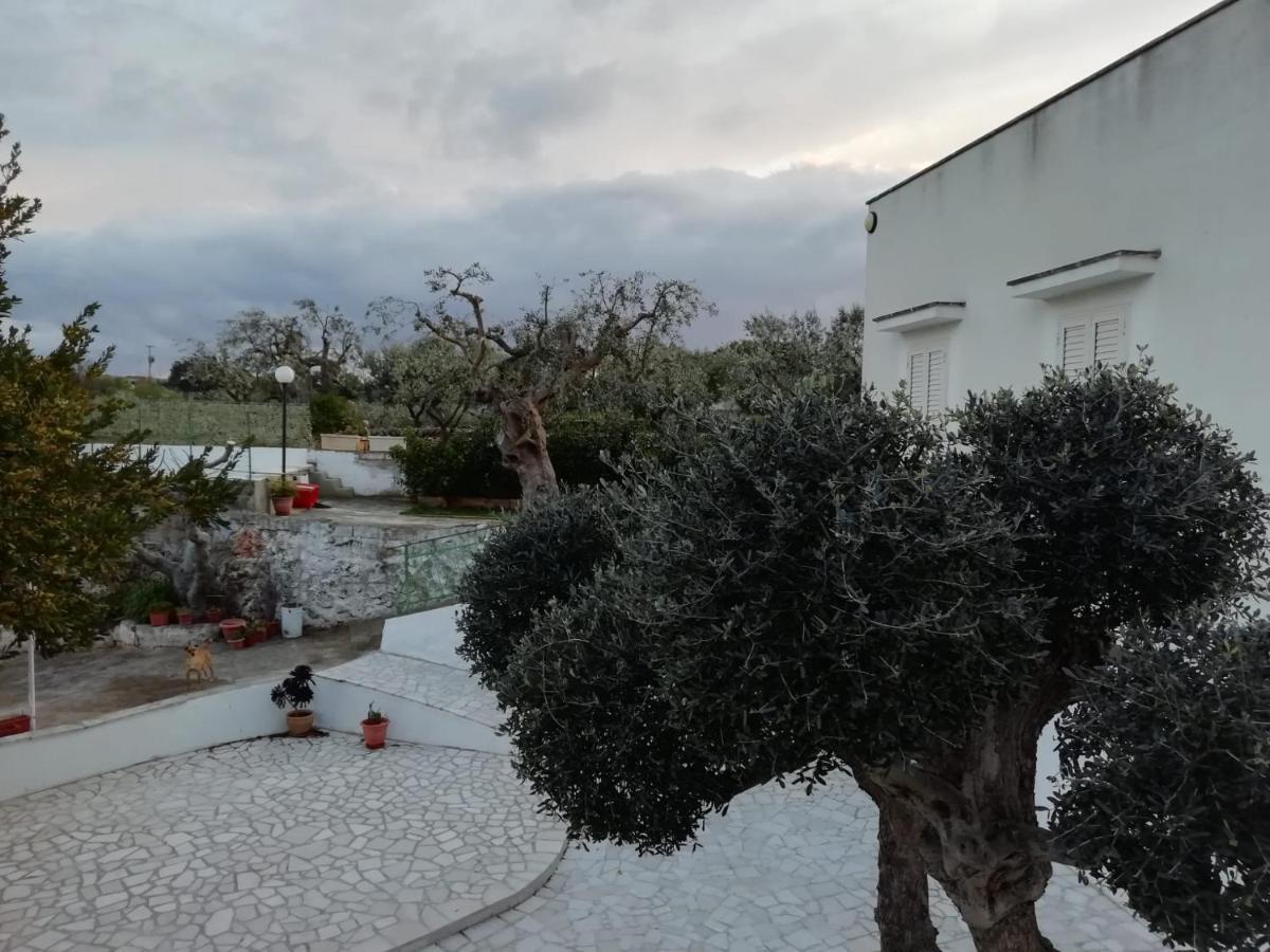 法萨诺La Casa Di Nonno别墅 外观 照片